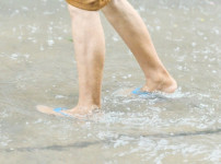 렙토스피라증.jpg