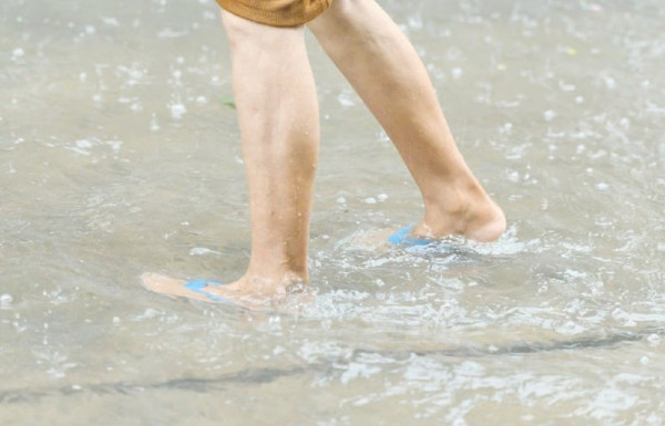 렙토스피라증.jpg