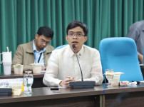 leandro-legarda-leviste.jpg
