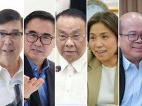 베르사민, 판간다만 사임.jpg