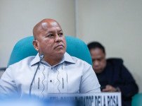 가차리안 버토.jpg