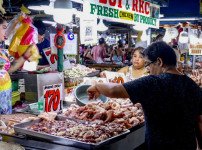 필리핀 성인.jpg